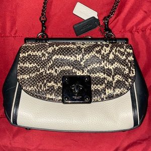 Coach Snake-Skin Purse